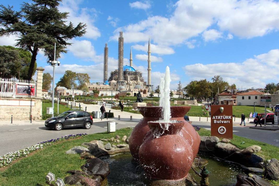 'Katil martı' paniği: Güvercinleri kurabiye gibi yiyorlar! 2